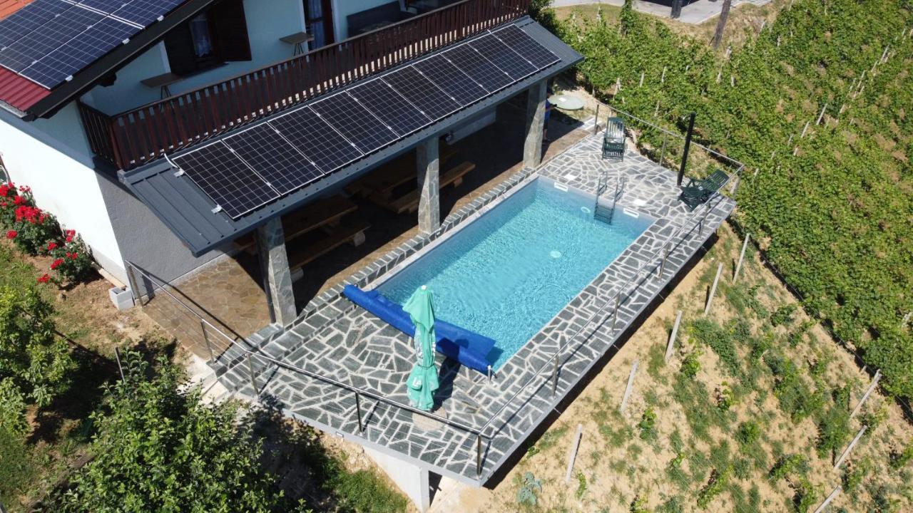 Vineyard Paradise Senica Dramlje Екстериор снимка