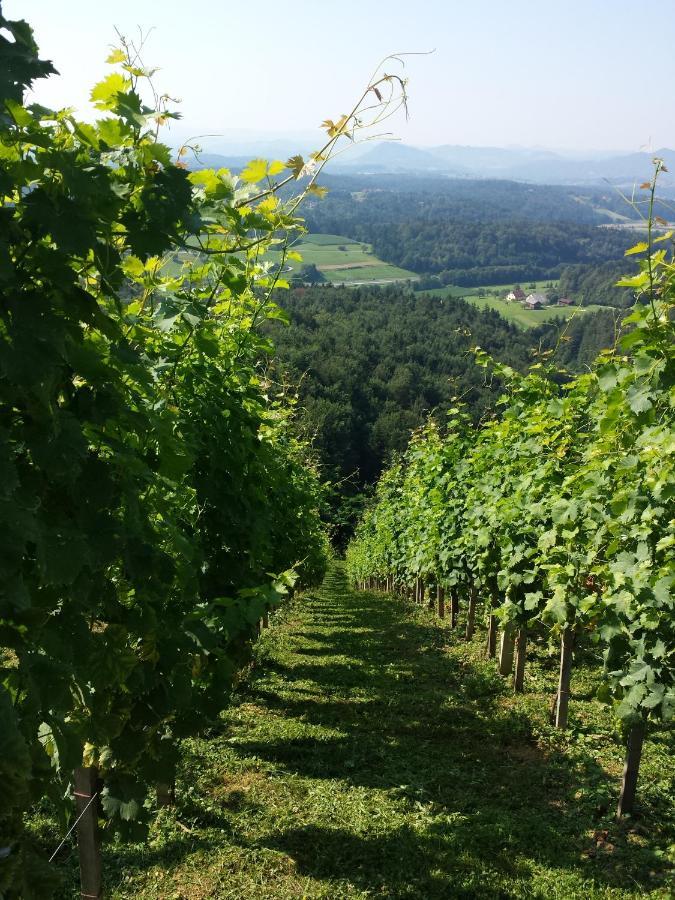 Vineyard Paradise Senica Dramlje Екстериор снимка